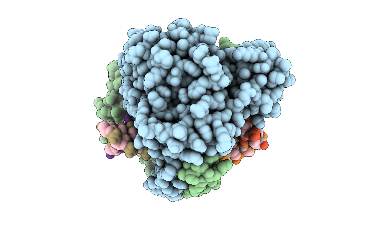3E44 image