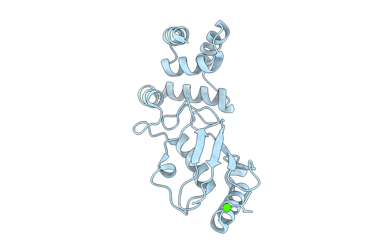 3E46 image