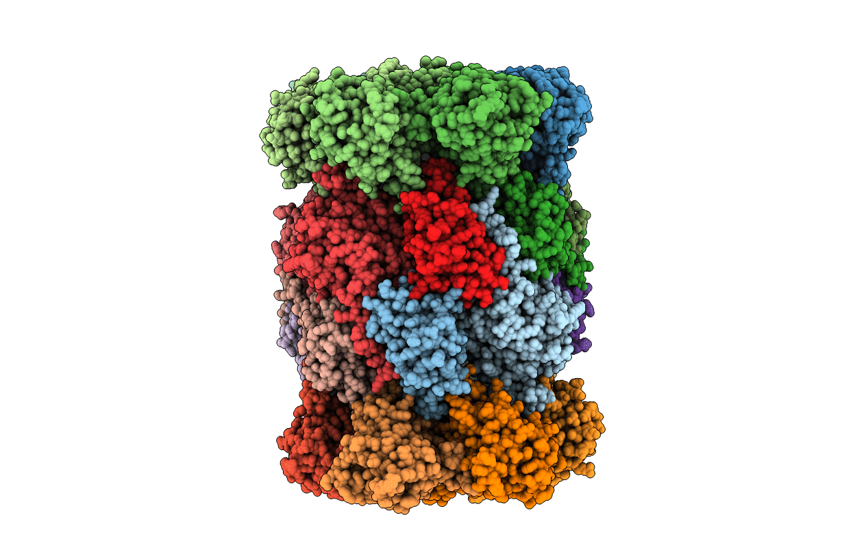 3E47 image