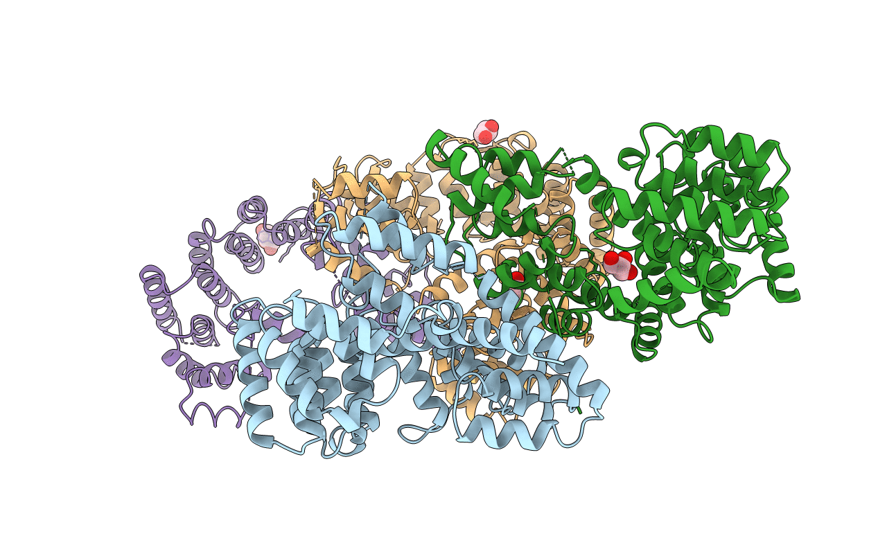 3E4B image