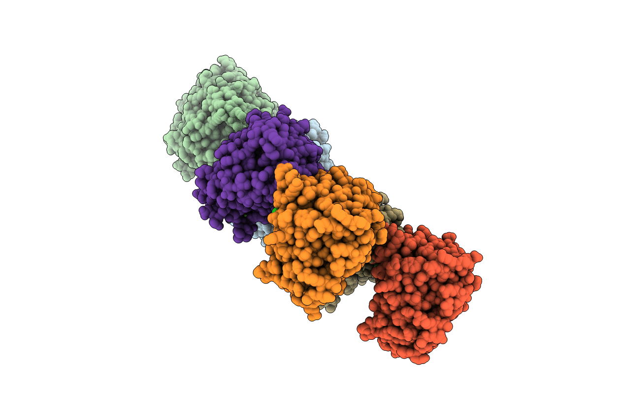 3E4D image