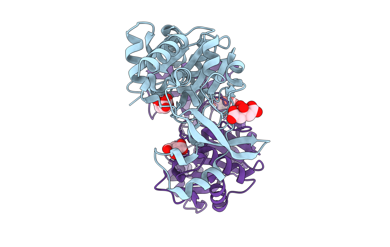 3E4F image