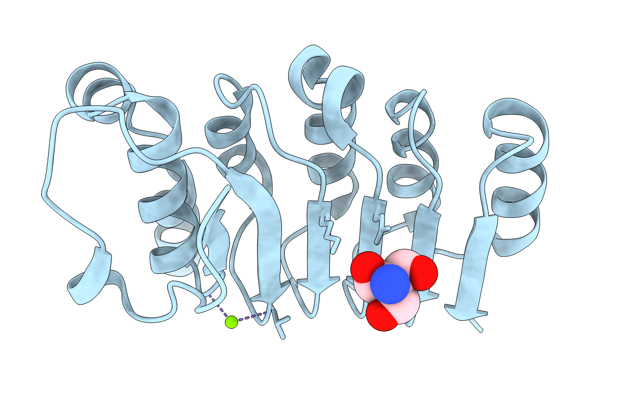 3E4G image
