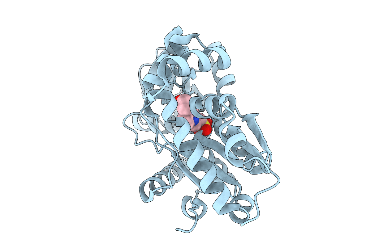 3E4R image