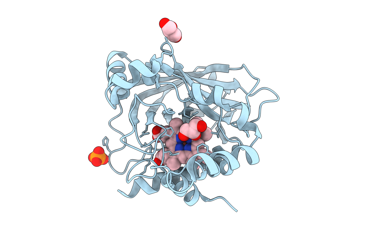 3E4Y image