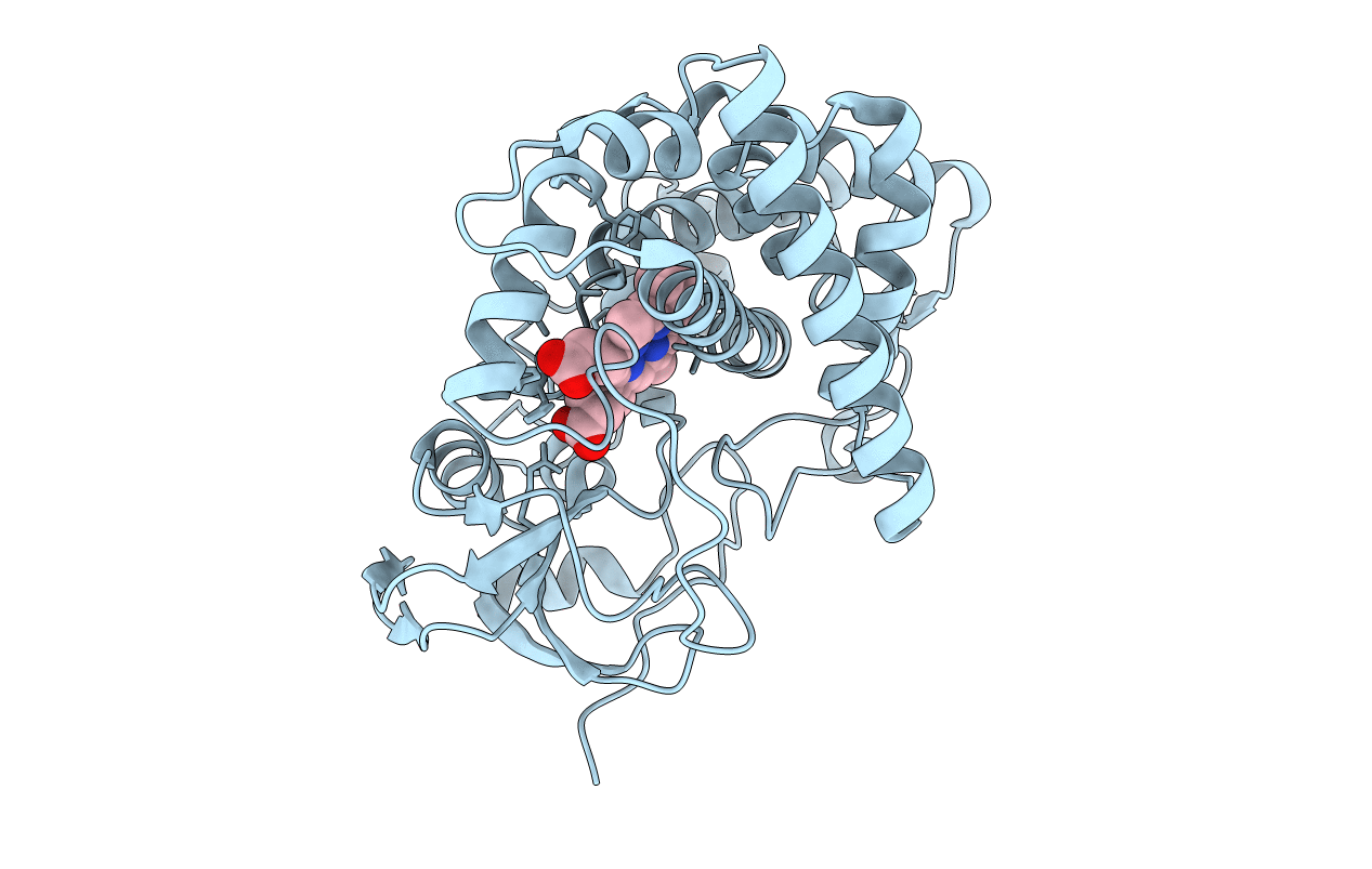 3E5L image
