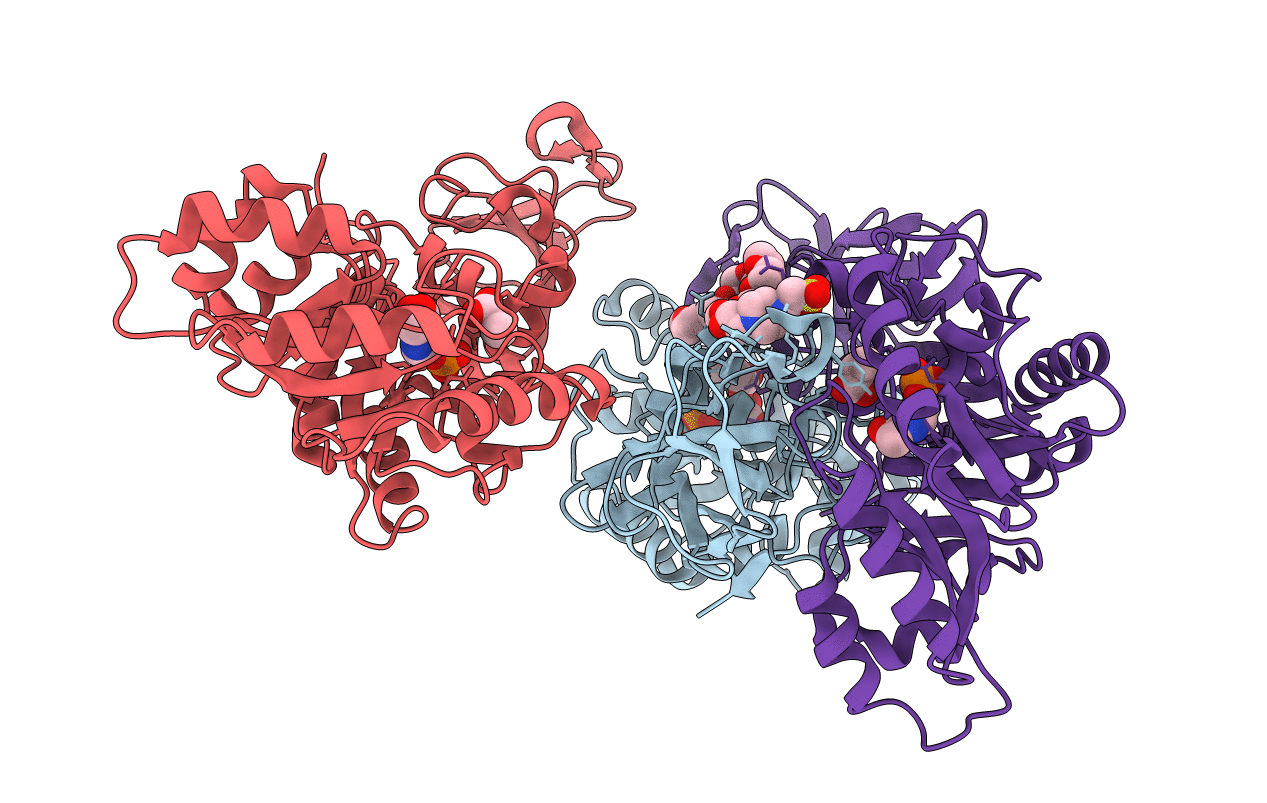 3E5P image