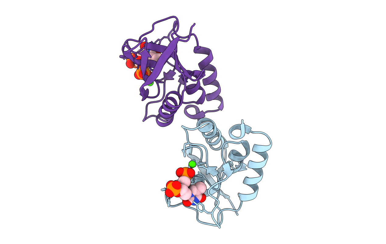 3e5s image
