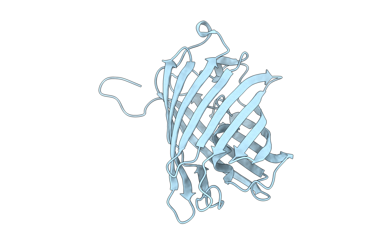 3E5T image