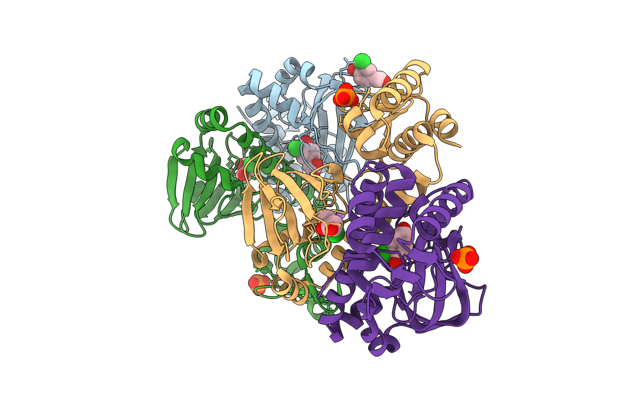 3E5U image