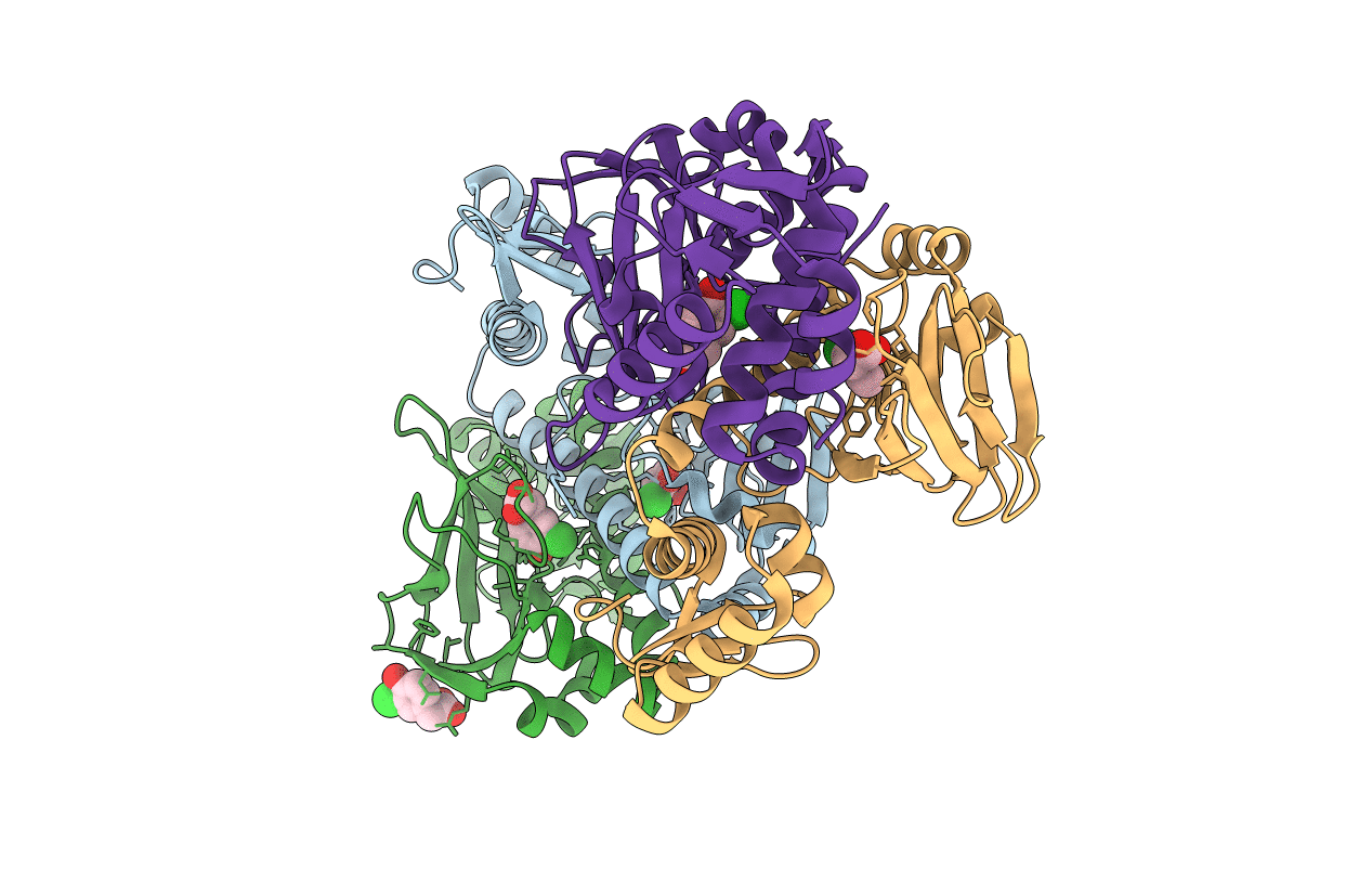 3E5X image