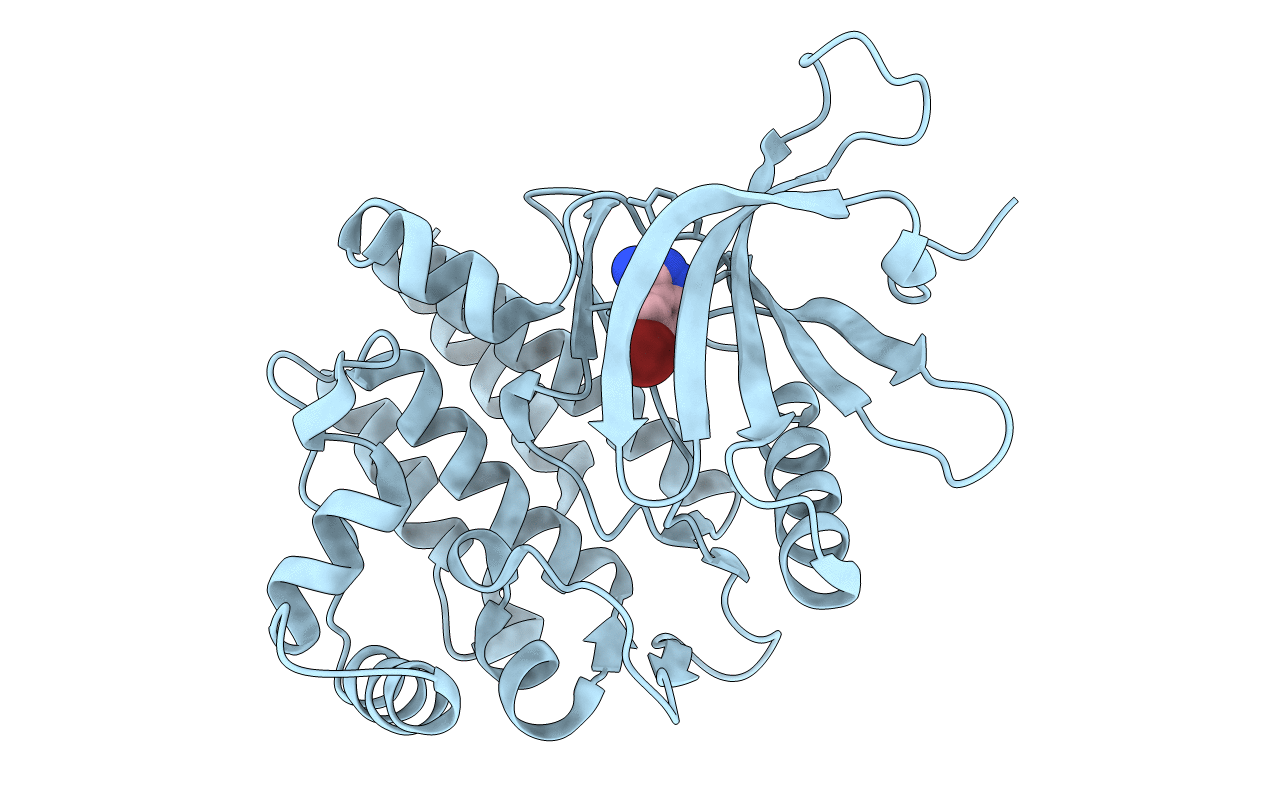 3E62 image