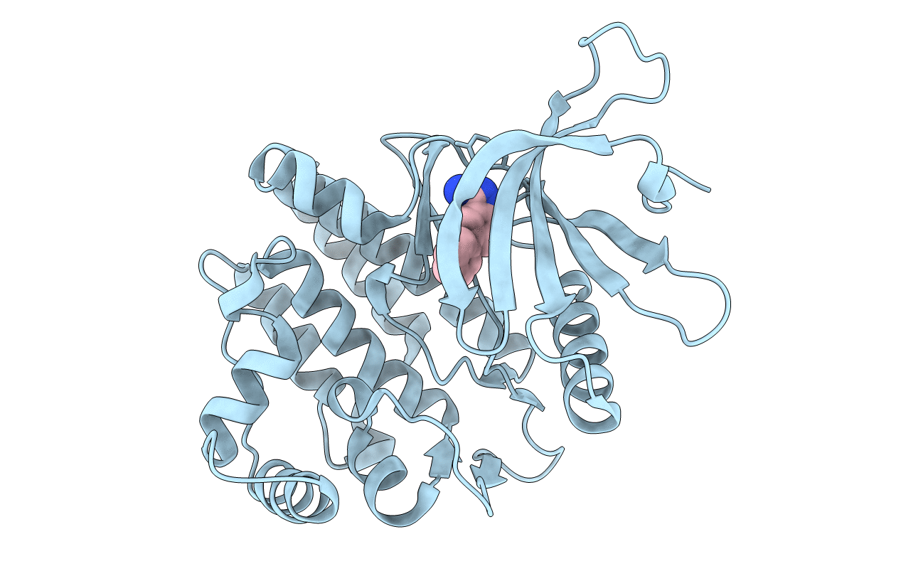 3E63 image