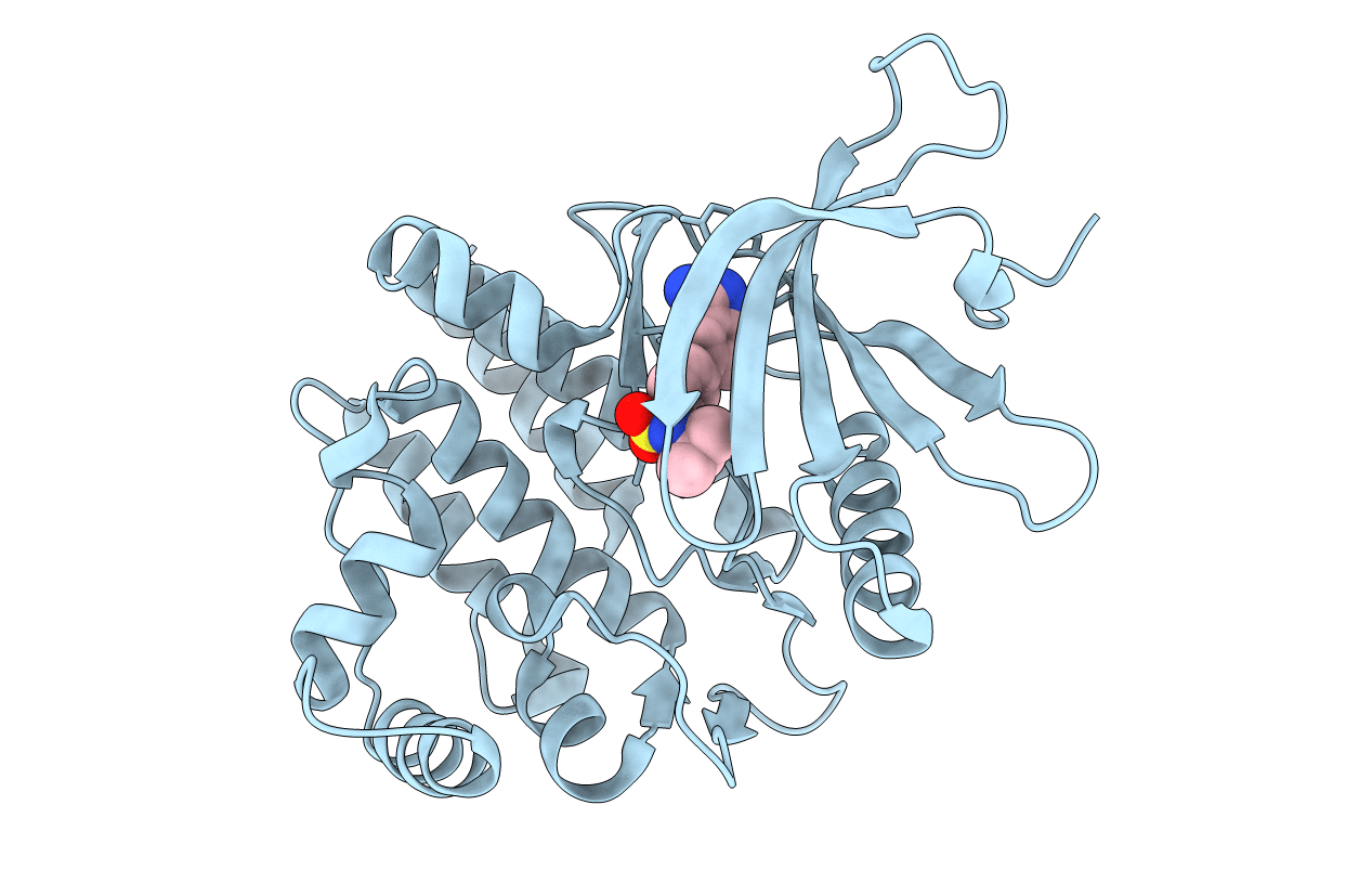 3E64 image