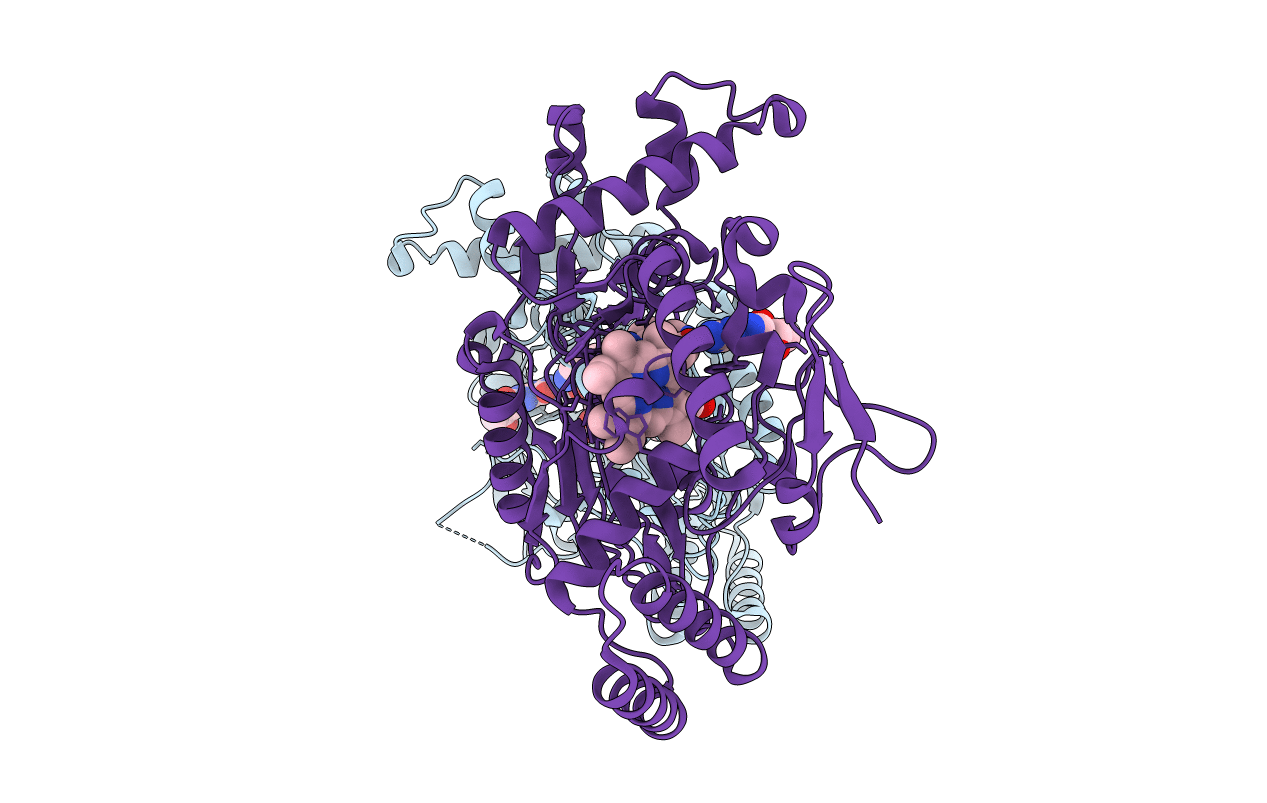 3E65 image