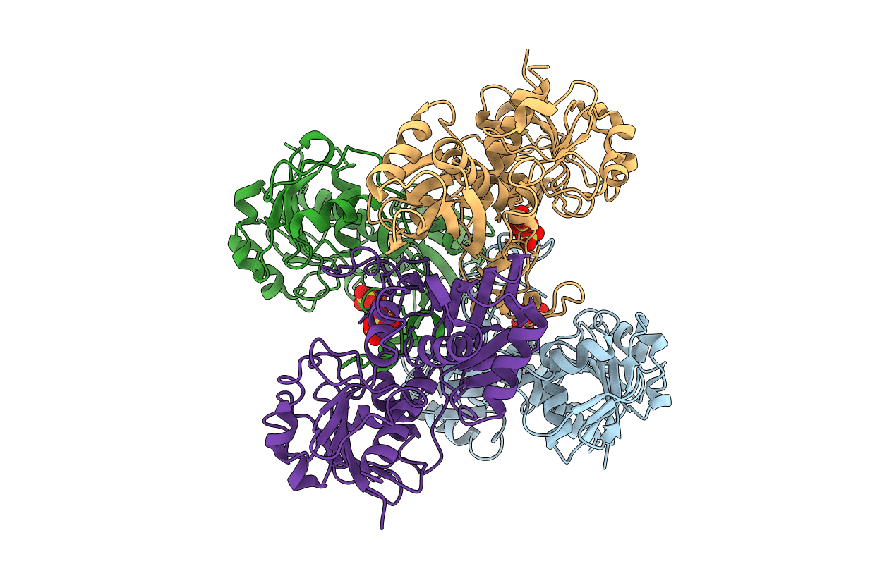 3E6A image