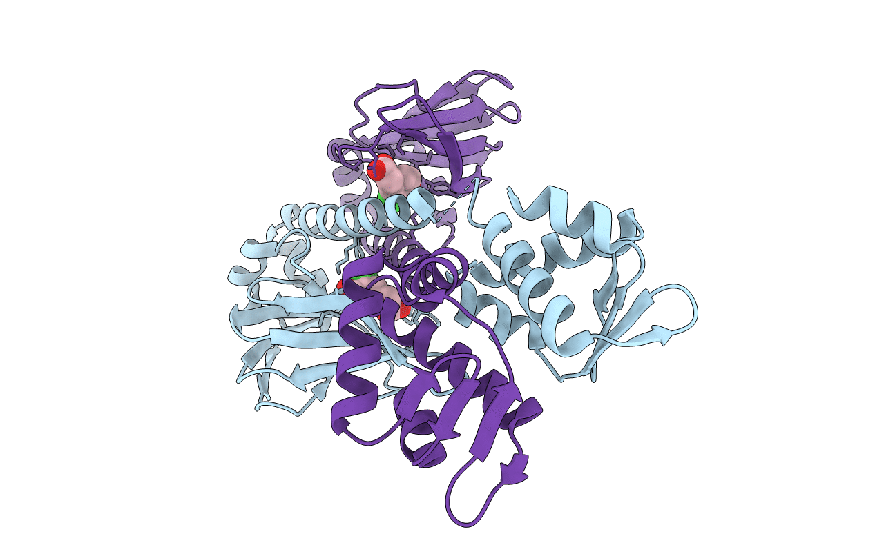 3E6B image