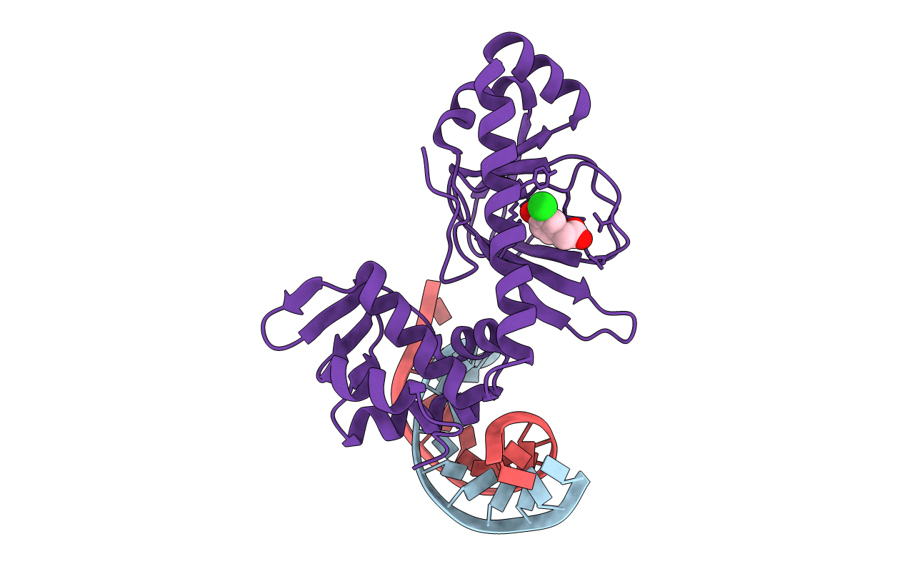 3E6C image