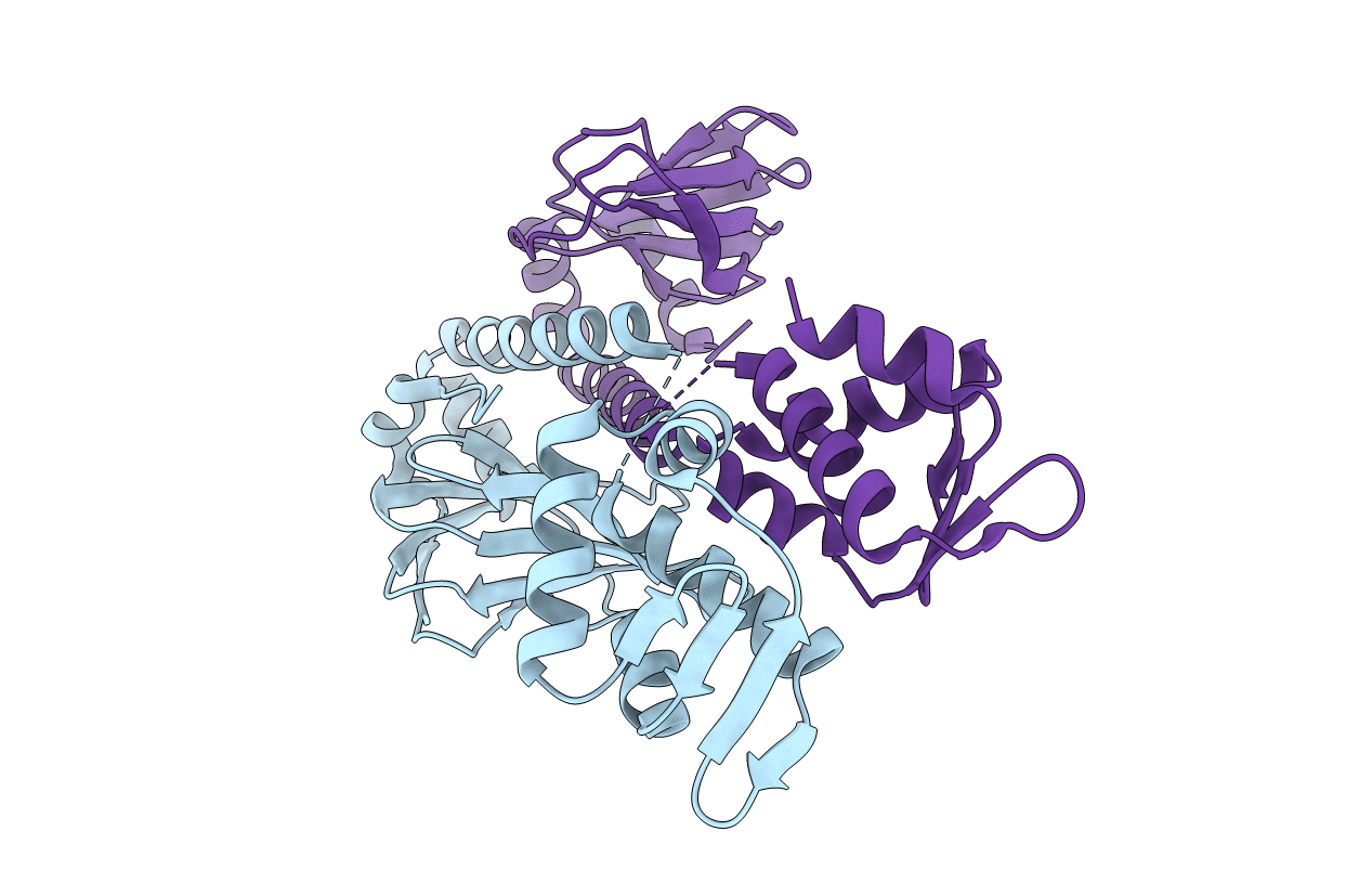 3E6D image