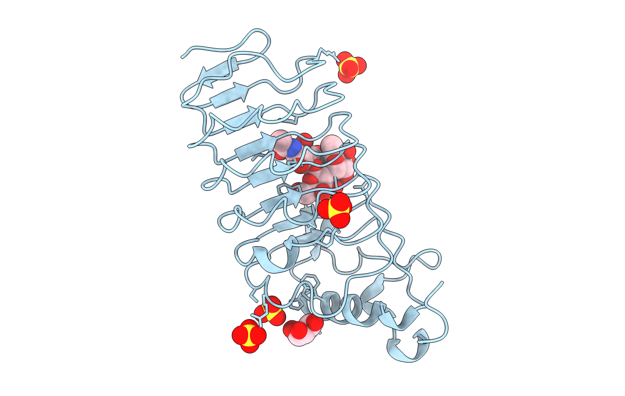 3E6J image
