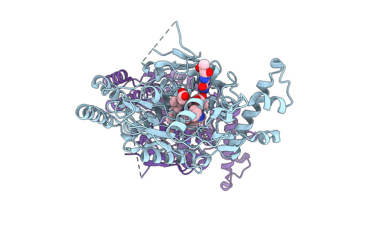 3E6N image