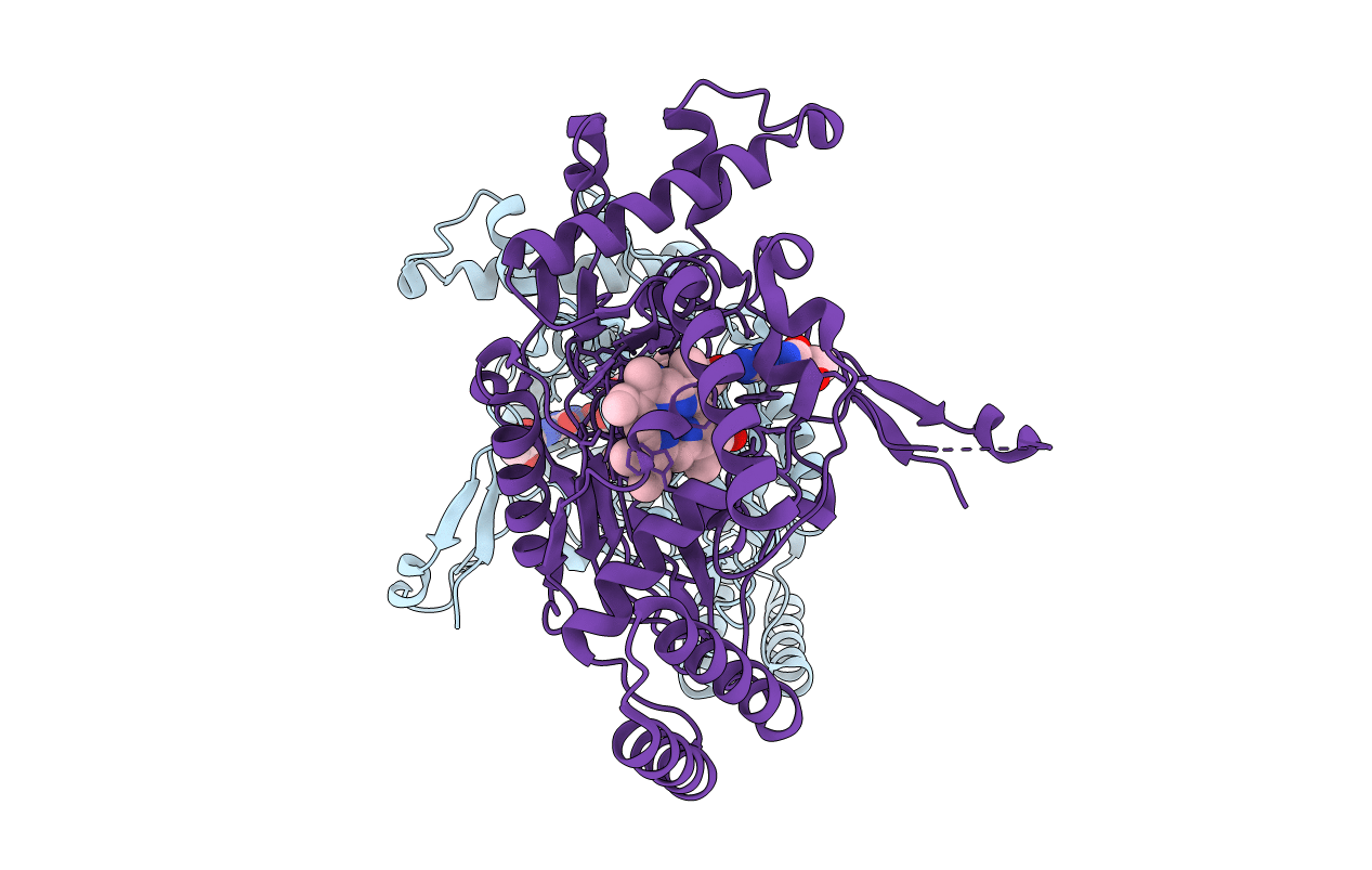 3E6O image