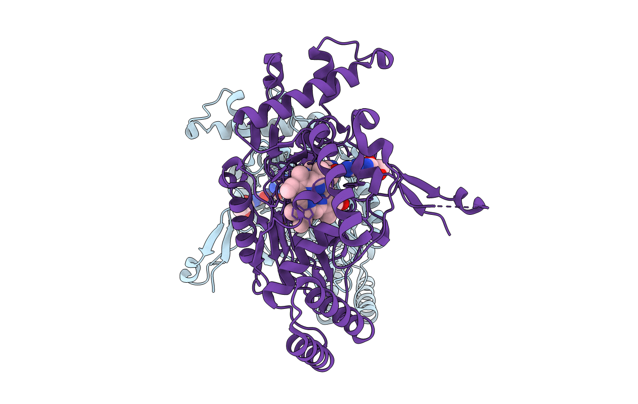 3E6T image