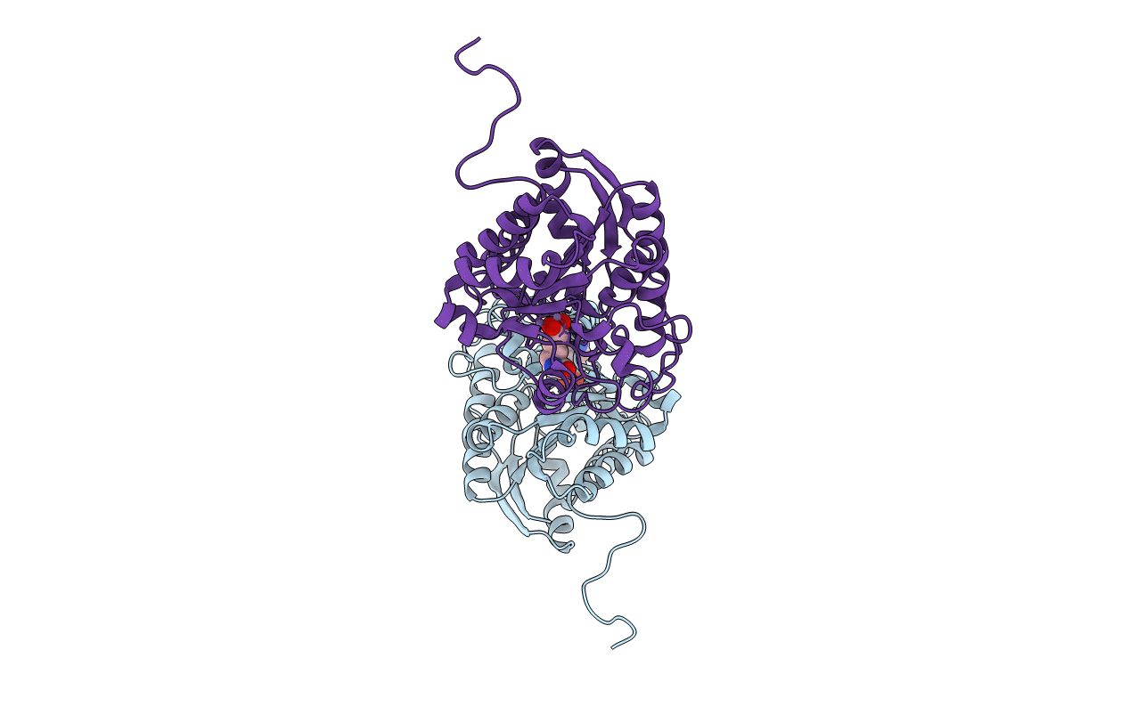 3E6V image