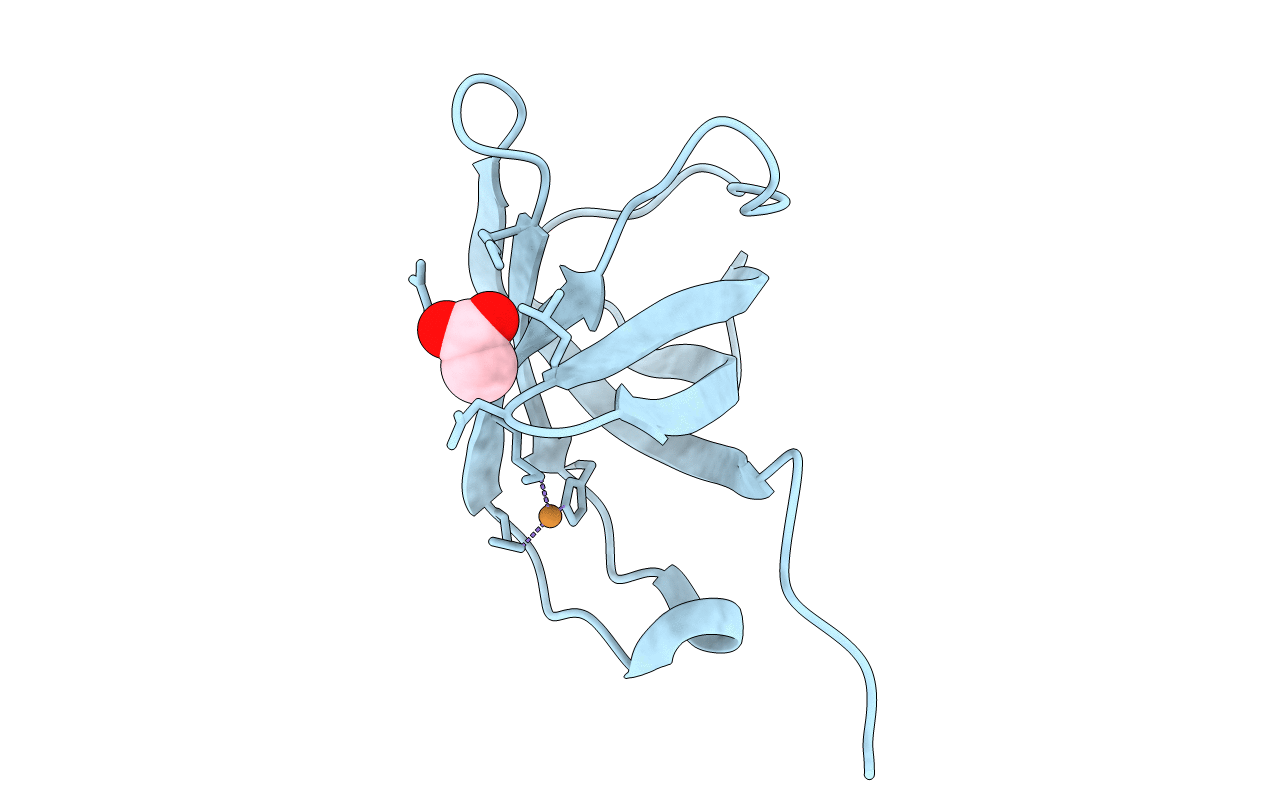 3E6Z image