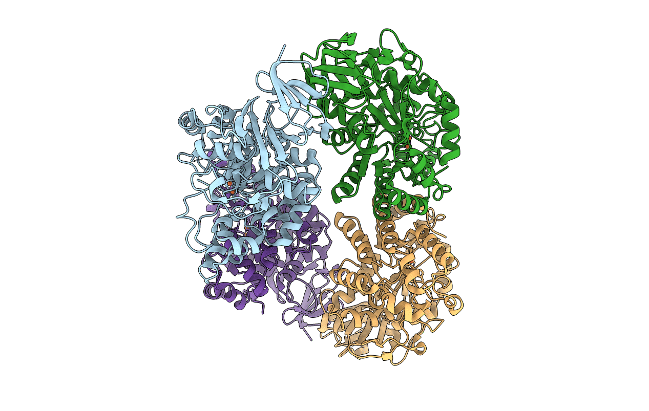 3E74 image