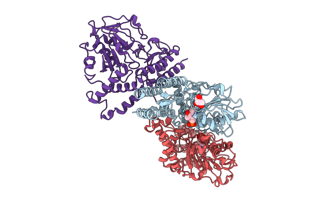 3E77 image