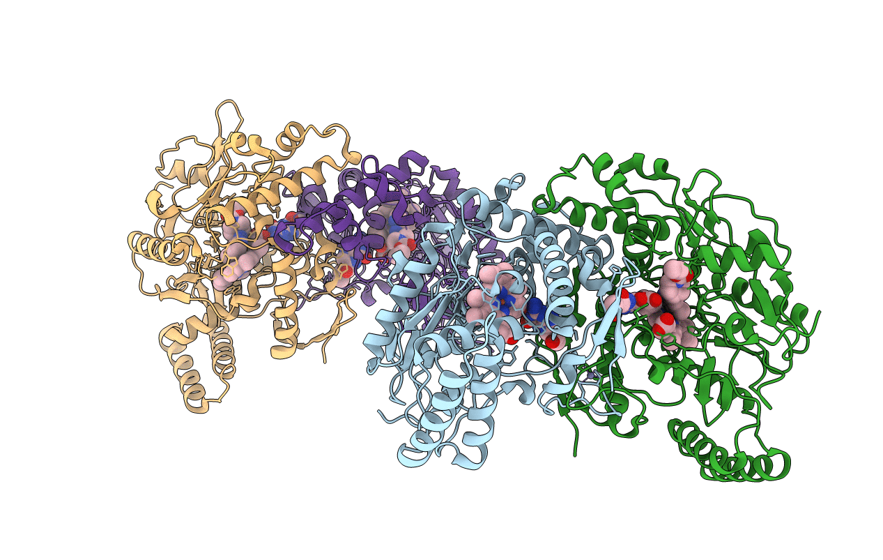 3E7G image