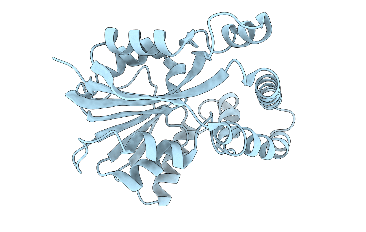 3E7P image