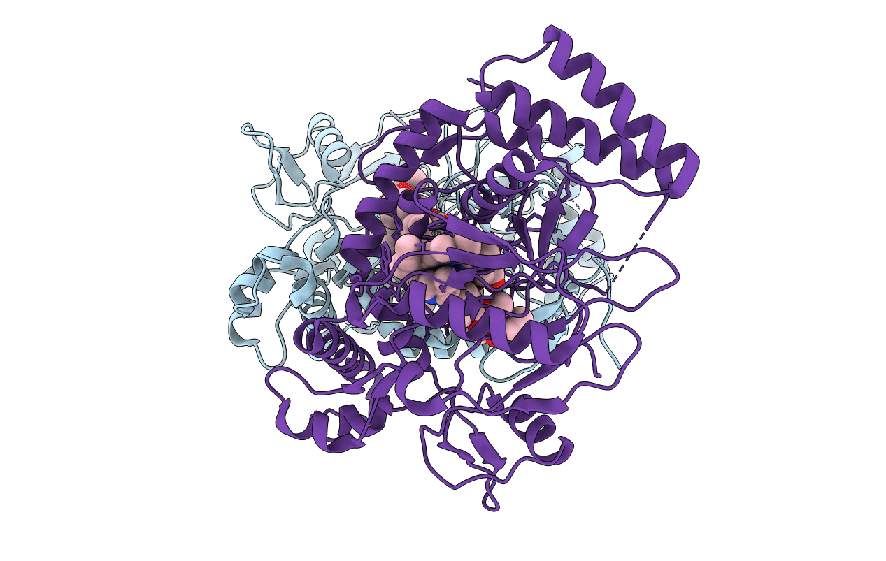 3E7S image