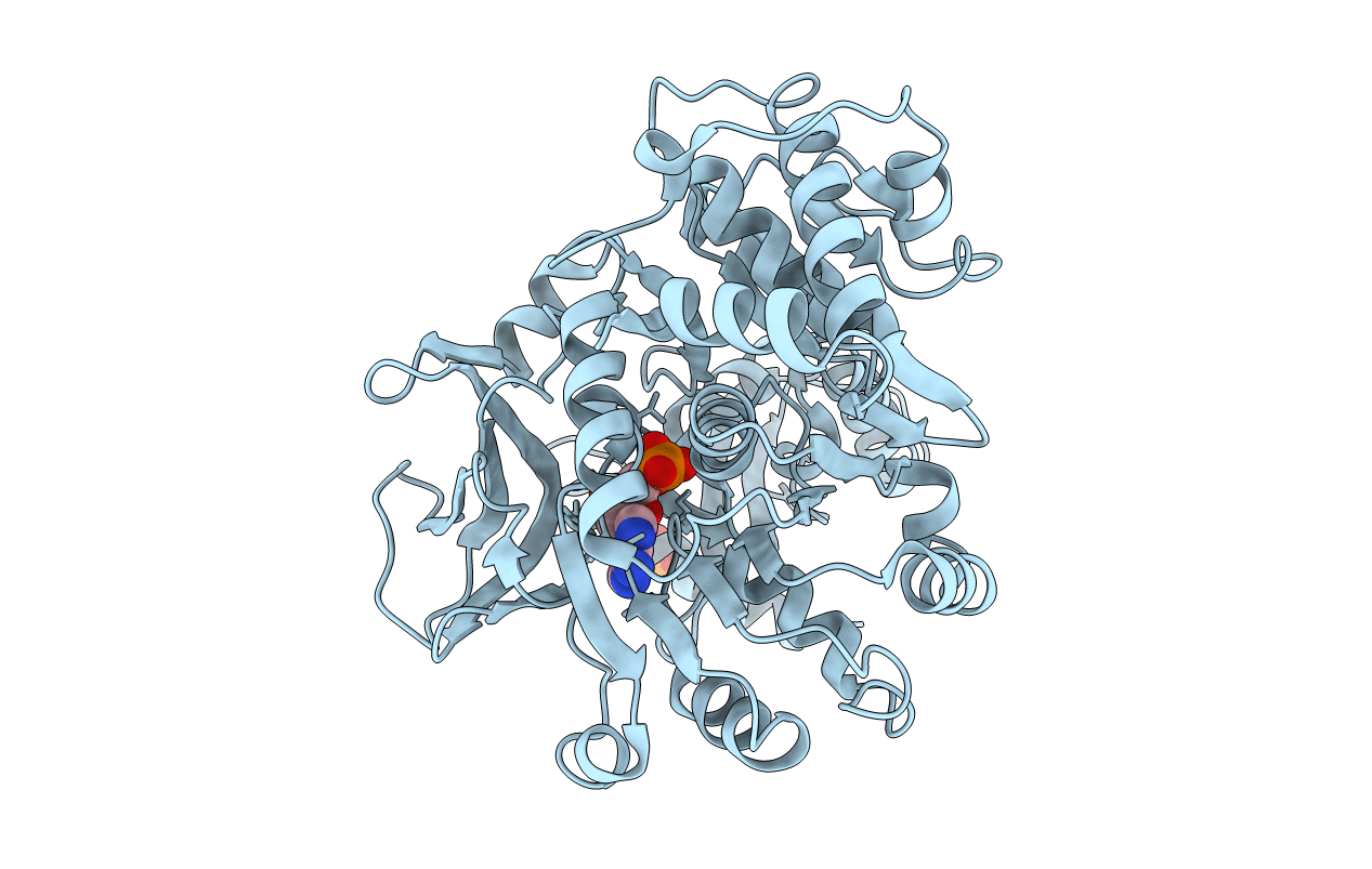 3e7w image