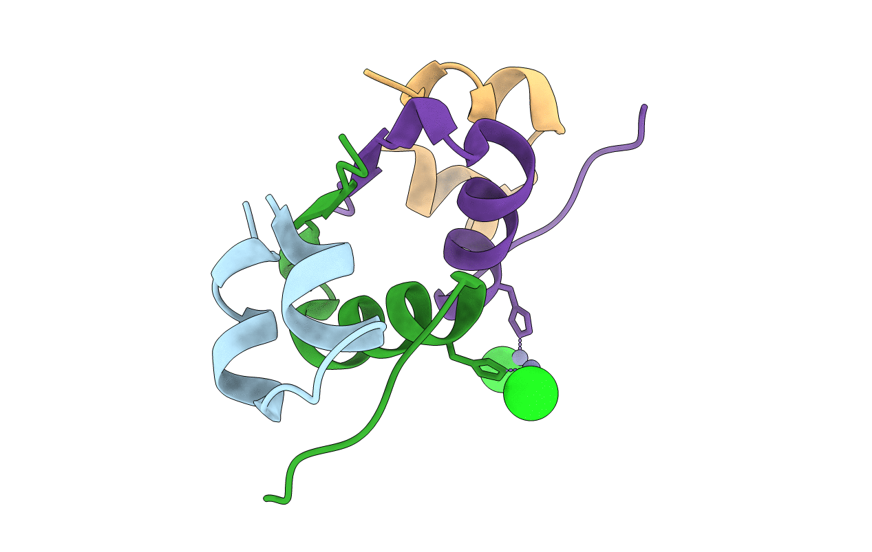 3E7Z image