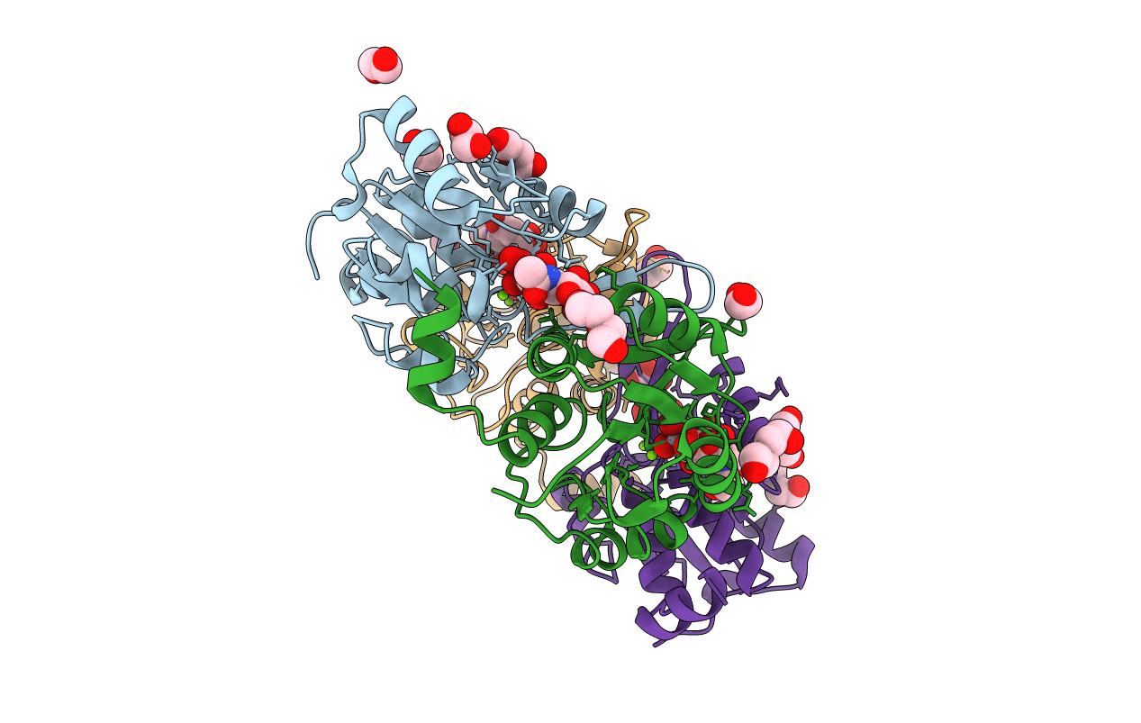 3E81 image