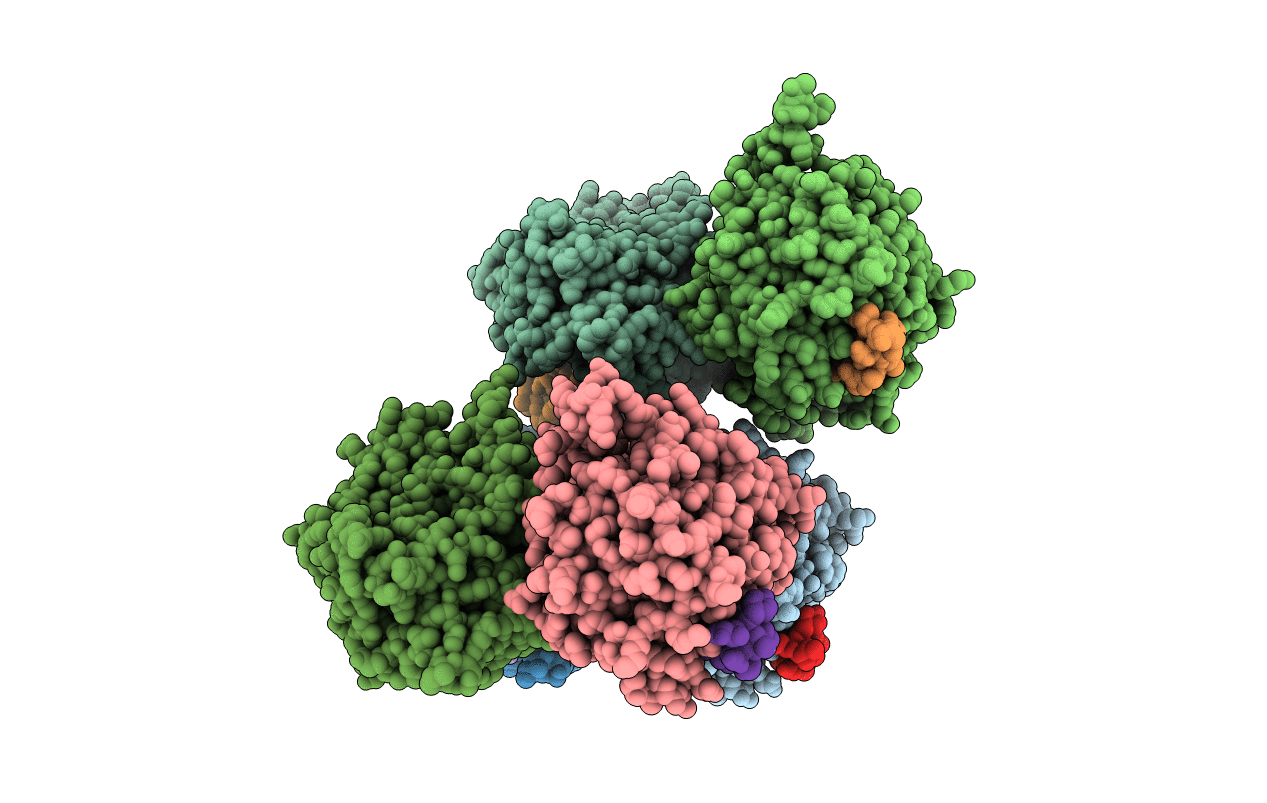 3E8C image