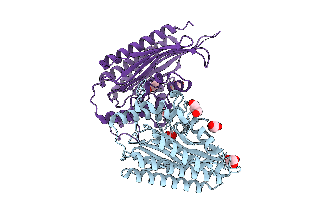 3E8J image