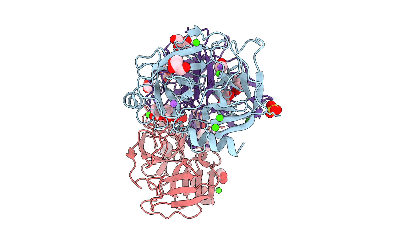 3E8L image