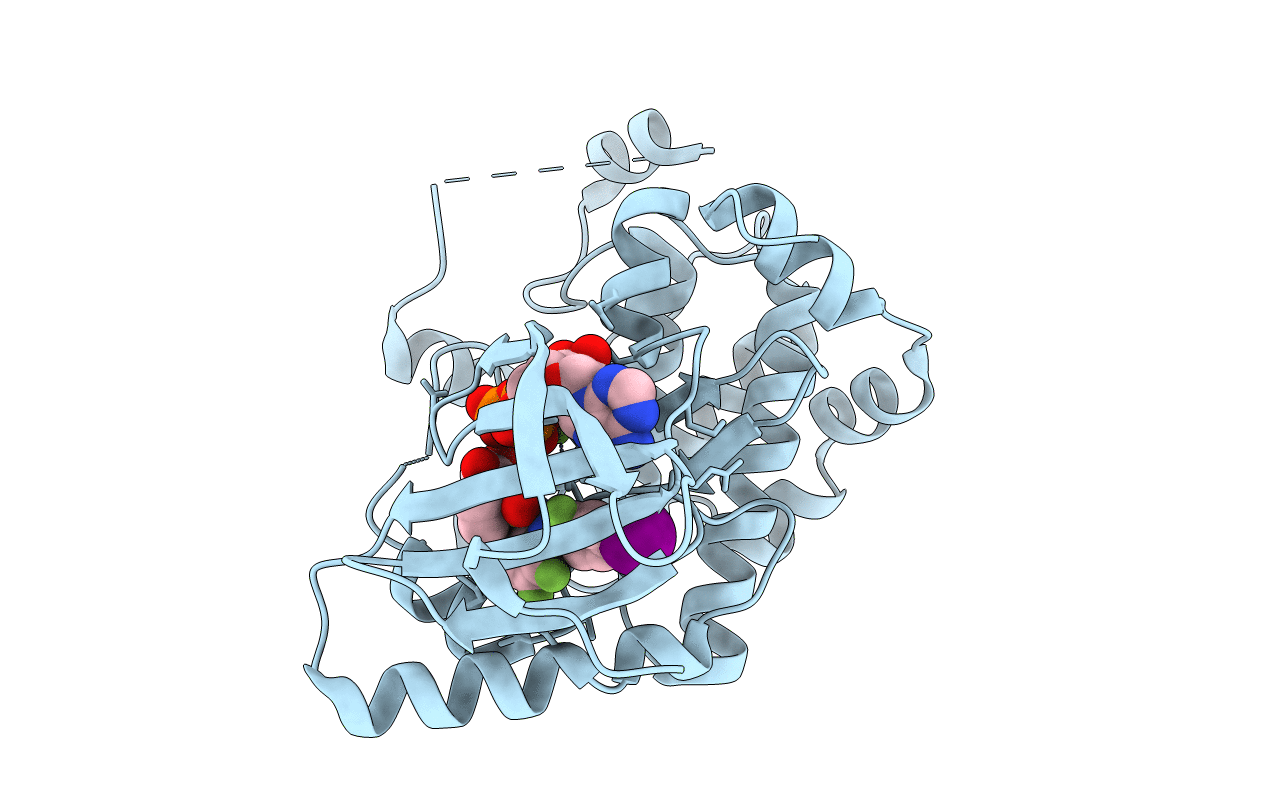 3E8N image