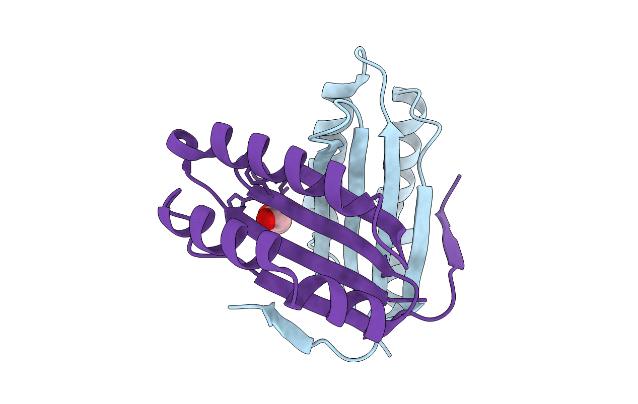 3E8O image