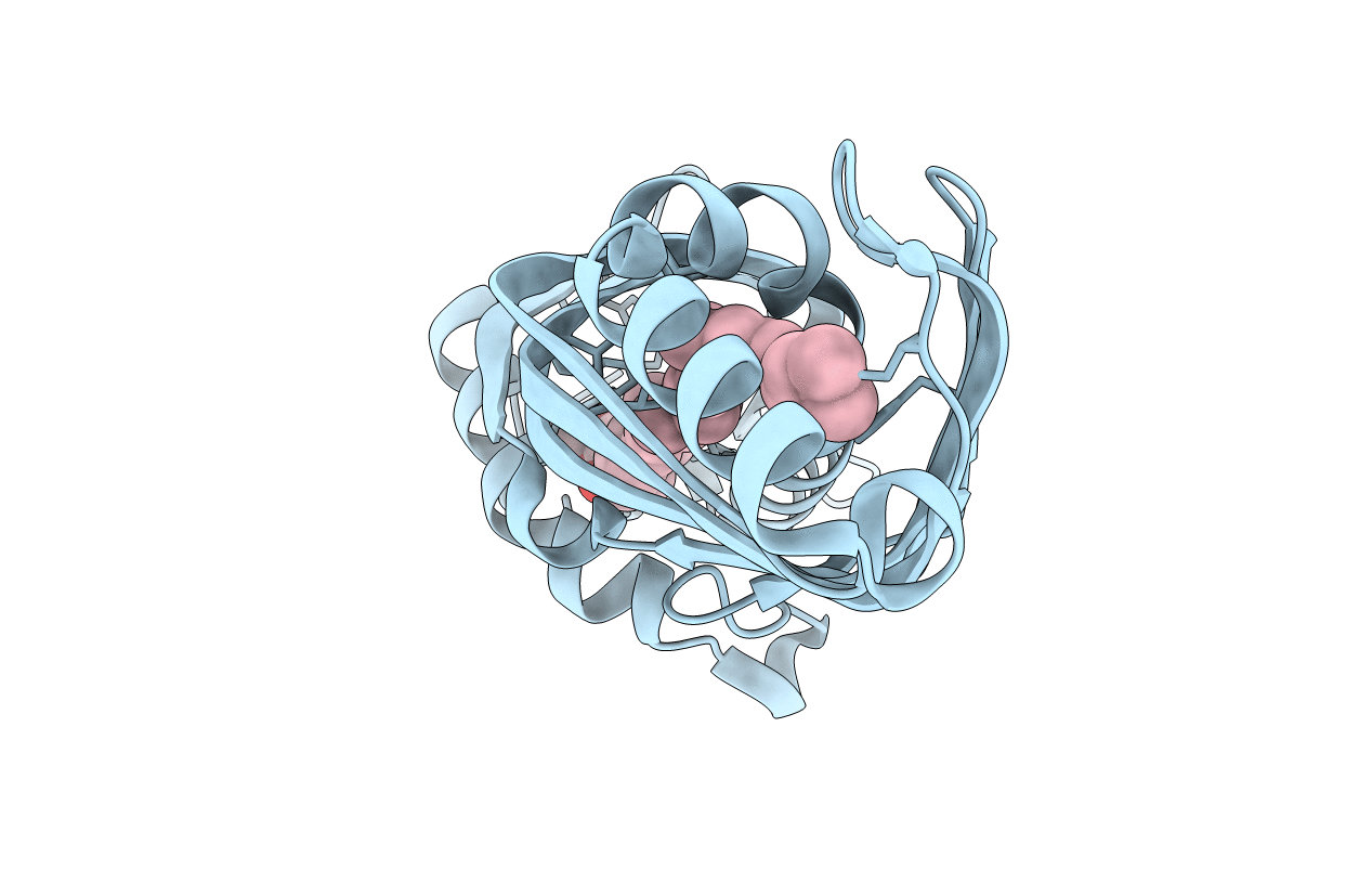3E8T image