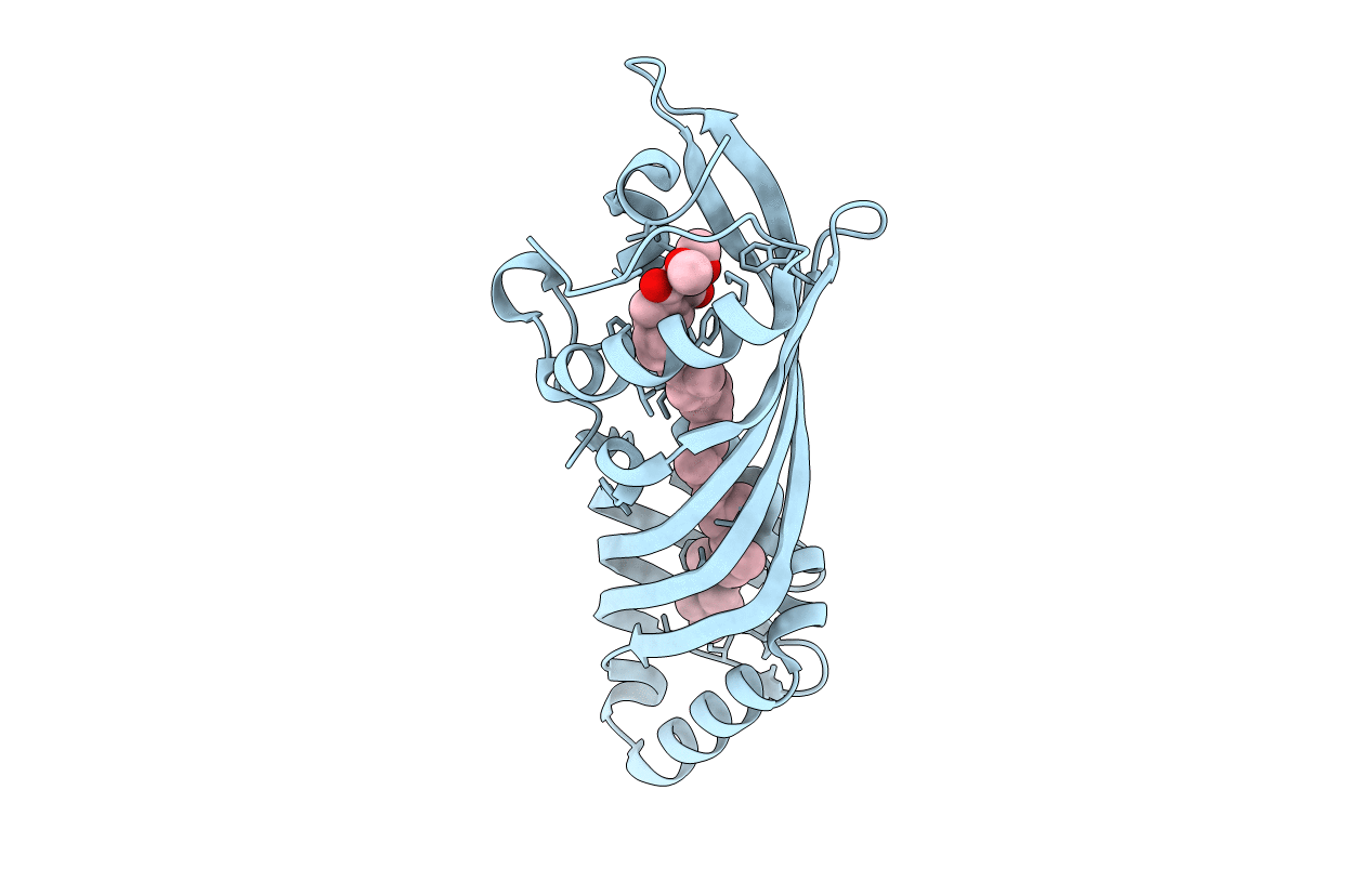 3E8W image