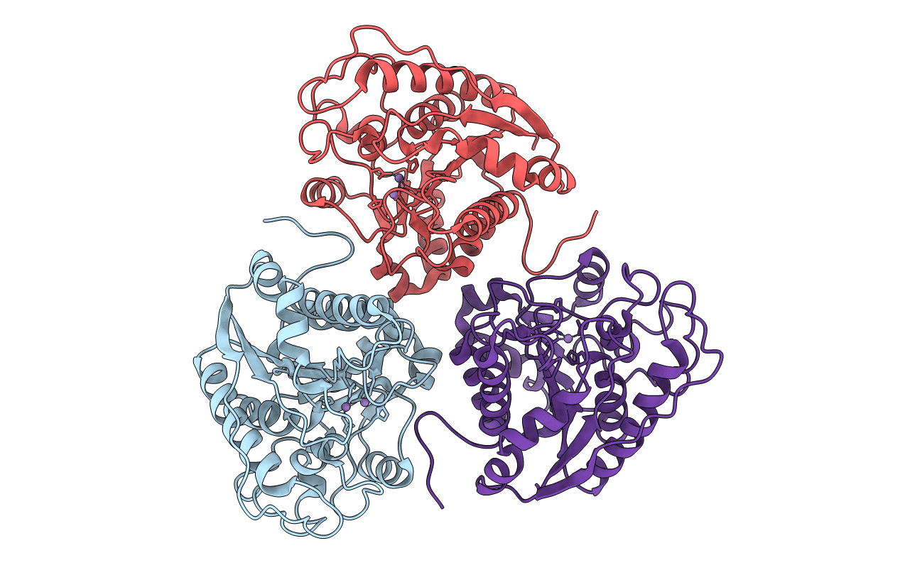 3e8z image
