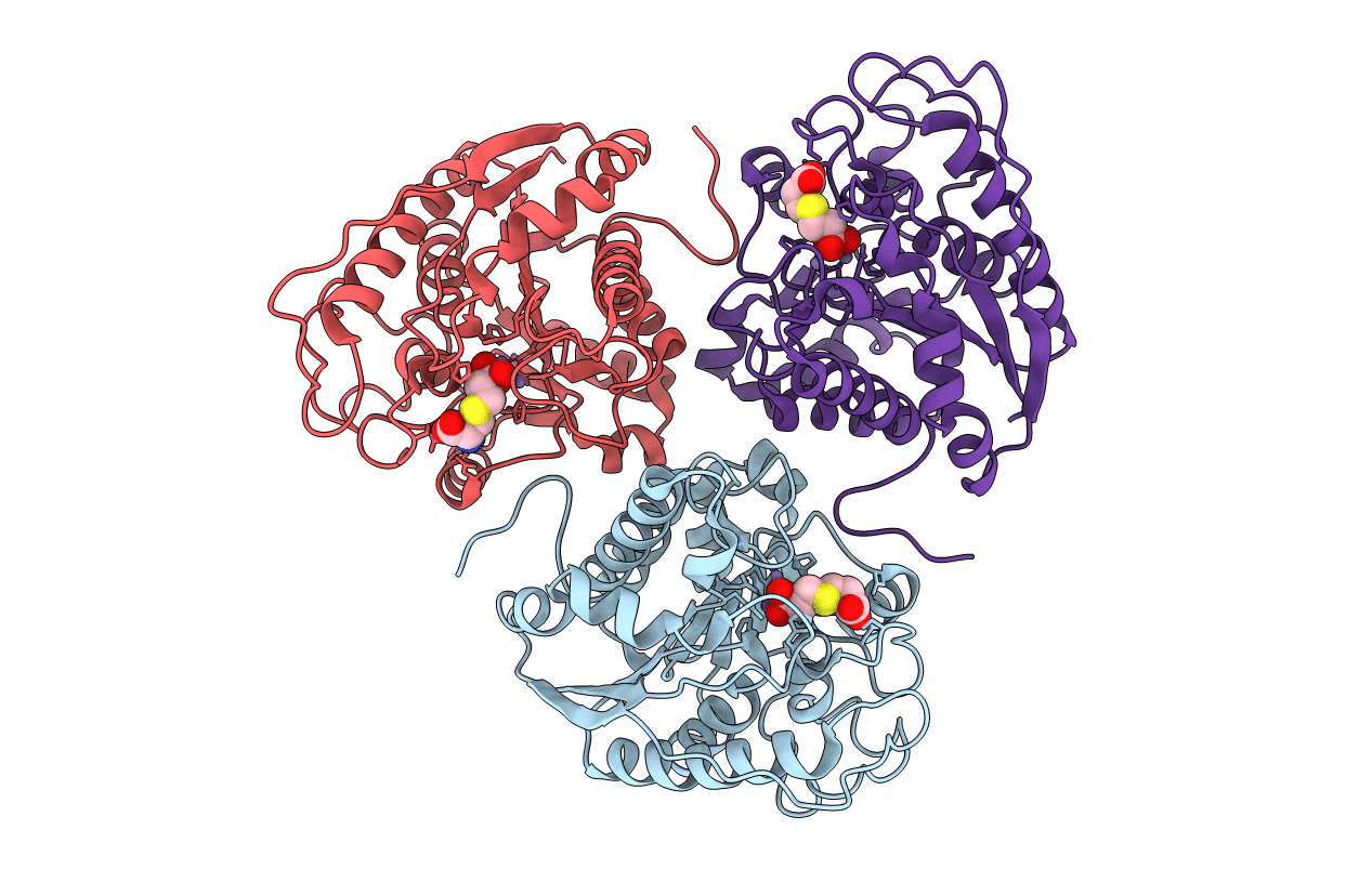 3E9B image