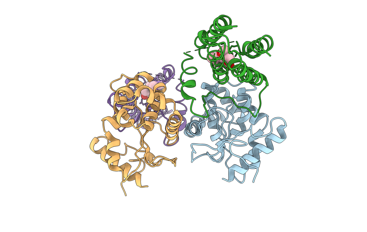3E9J image