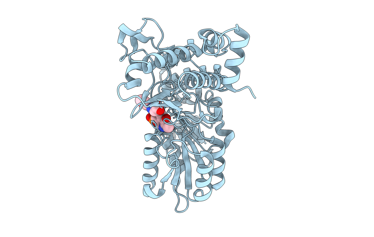 3E9K image