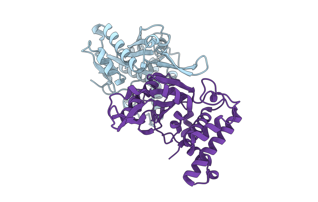 3E9P image