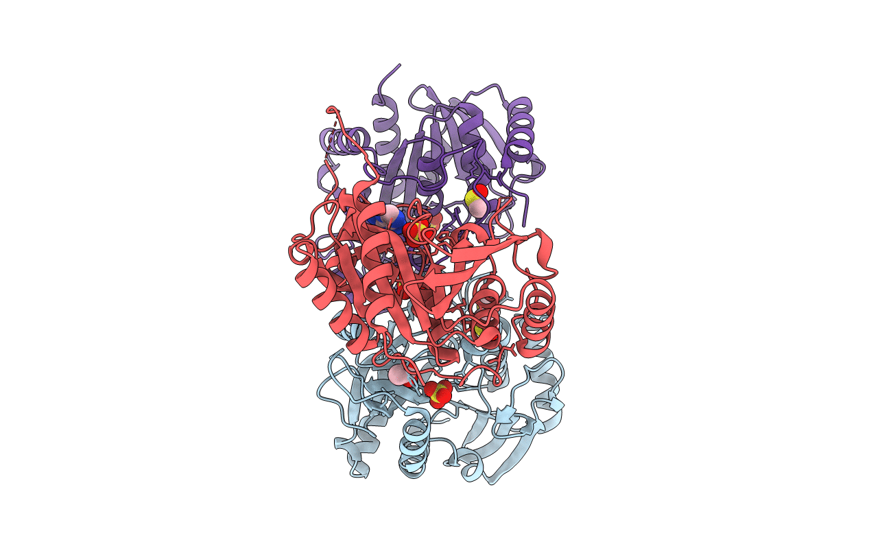 3E9R image